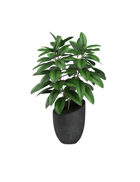 alias eligedi cumqe optnos