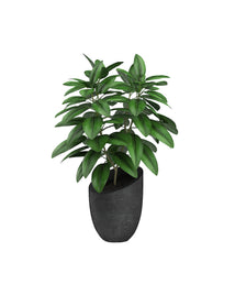 Fashion creating well-designed