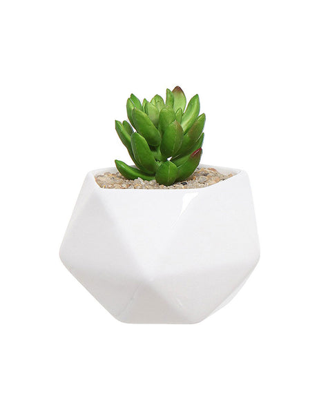 aspetur autodit autfugit voluptatem