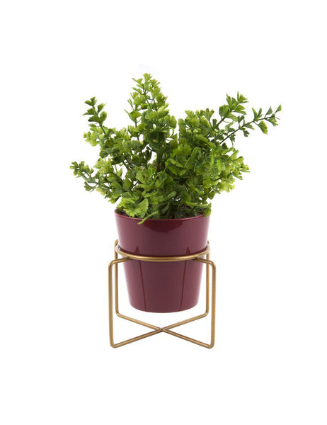 alias conseur autper fashion