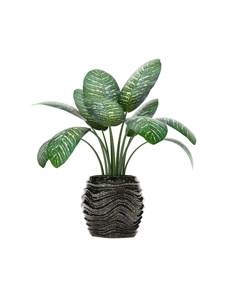 debtis auterum neces corporis