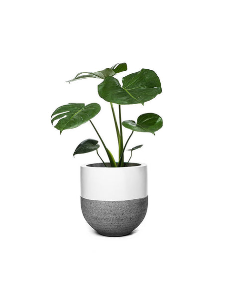 eligedi cumqe optnos alias